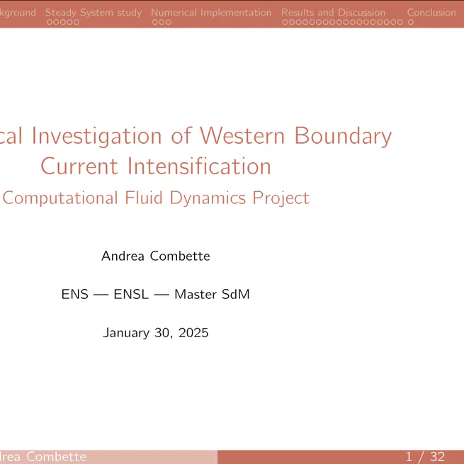 Numerical Investigation of Western Boundary Current Intensification